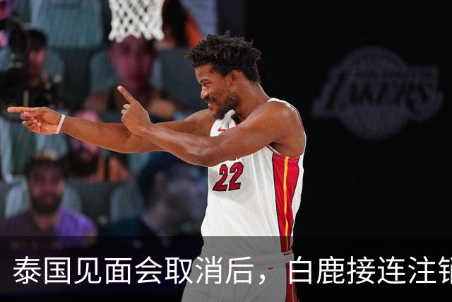 泰国见面会取消后，白鹿接连注销名下三家公司，网友：果然有猫腻